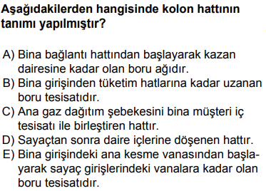 Soru Görseli