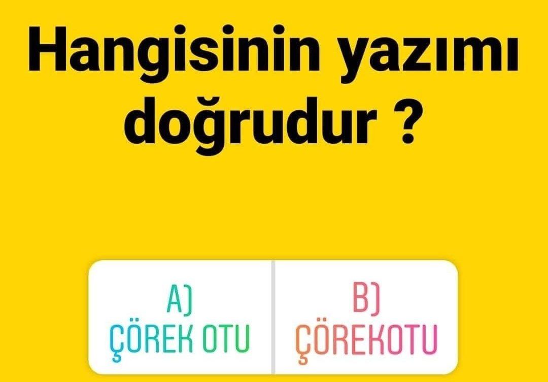 Soru Görseli