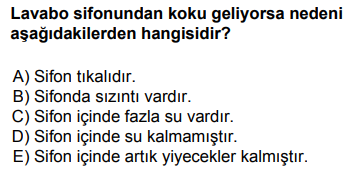 Soru Görseli