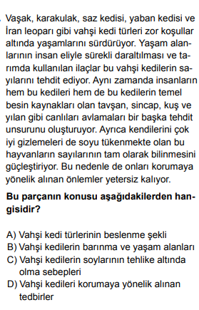 Soru Görseli
