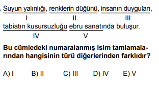 Soru Görseli