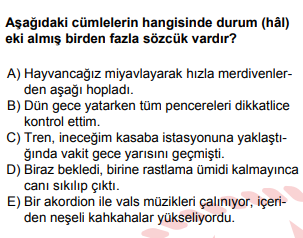 Soru Görseli