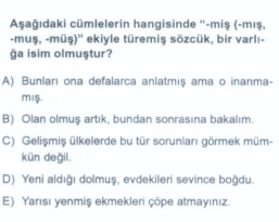 Soru Görseli