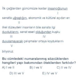 Soru Görseli
