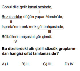 Soru Görseli