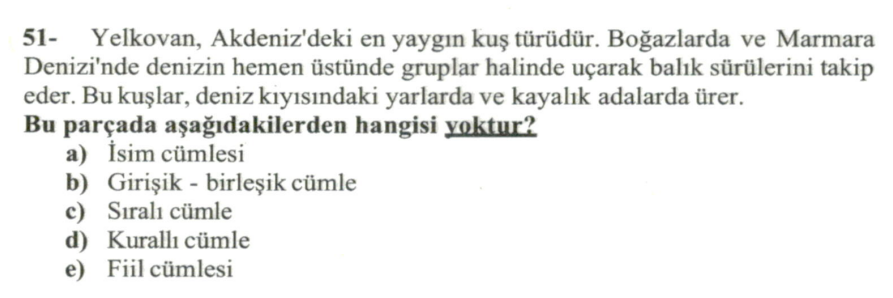 Soru Görseli