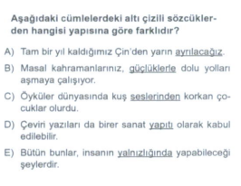 Soru Görseli