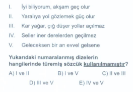 Soru Görseli