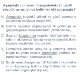 Soru Görseli