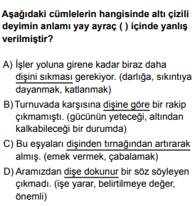 Soru Görseli