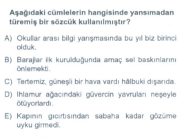 Soru Görseli