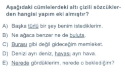 Soru Görseli
