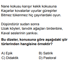 Soru Görseli