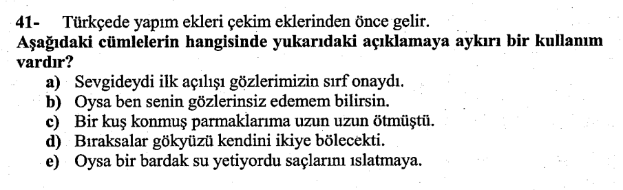 Soru Görseli