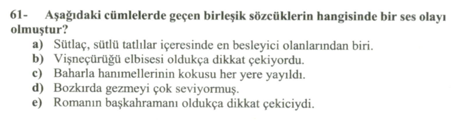 Soru Görseli
