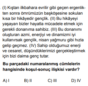 Soru Görseli