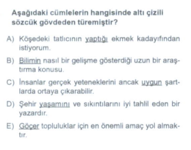 Soru Görseli