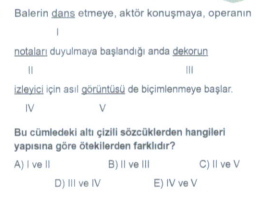 Soru Görseli
