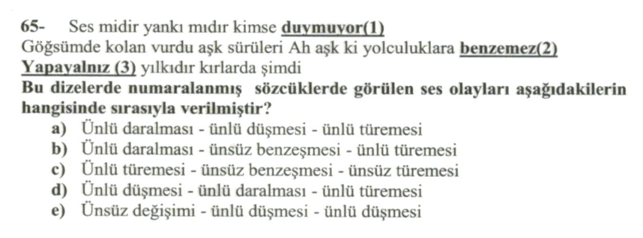 Soru Görseli