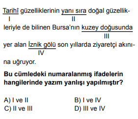 Soru Görseli