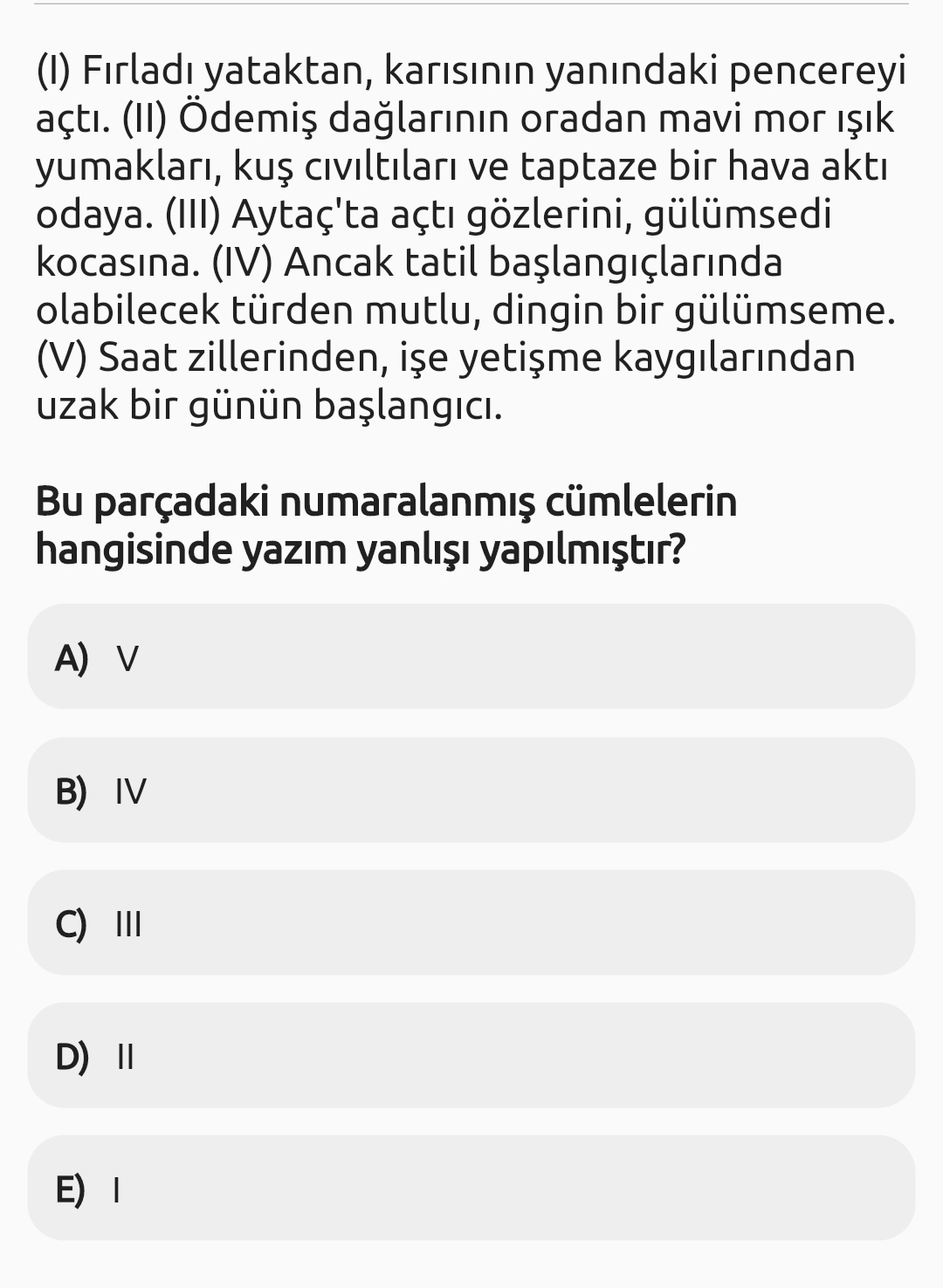 Soru Görseli