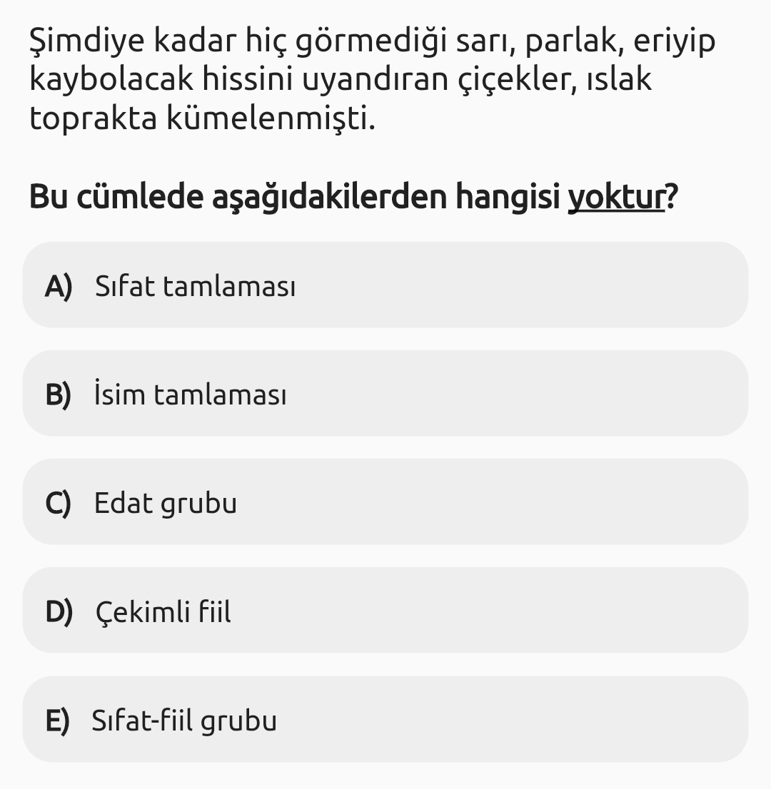 Soru Görseli