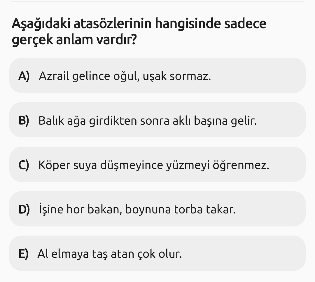 Soru Görseli
