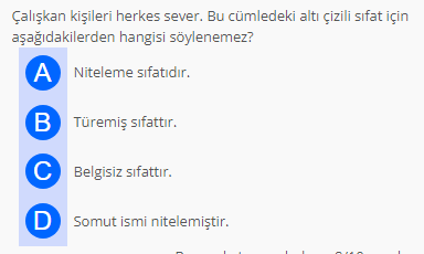Soru Görseli