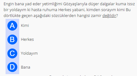 Soru Görseli