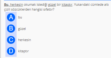 Soru Görseli