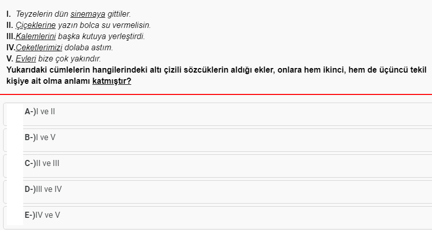Soru Görseli