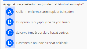 Soru Görseli