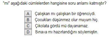 Soru Görseli