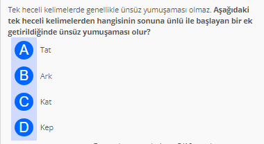 Soru Görseli