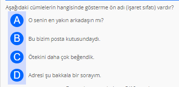 Soru Görseli