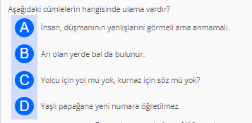 Soru Görseli