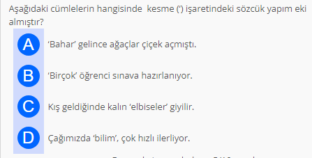 Soru Görseli