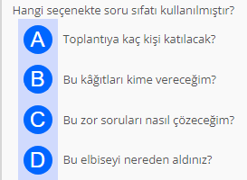 Soru Görseli