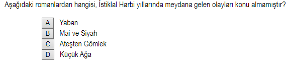 Soru Görseli