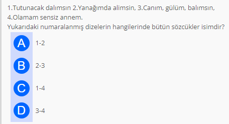 Soru Görseli