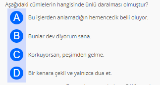 Soru Görseli