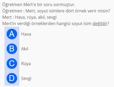 Soru Görseli