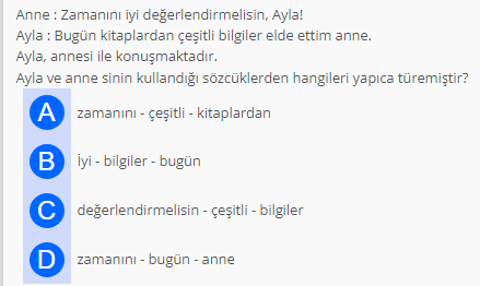 Soru Görseli