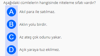 Soru Görseli