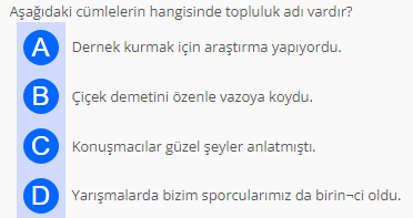 Soru Görseli