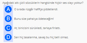 Soru Görseli