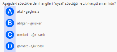 Soru Görseli