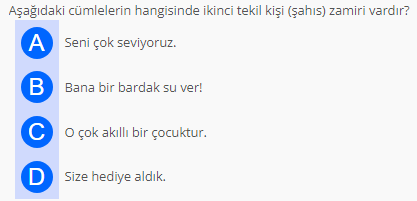 Soru Görseli