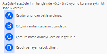 Soru Görseli
