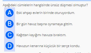 Soru Görseli